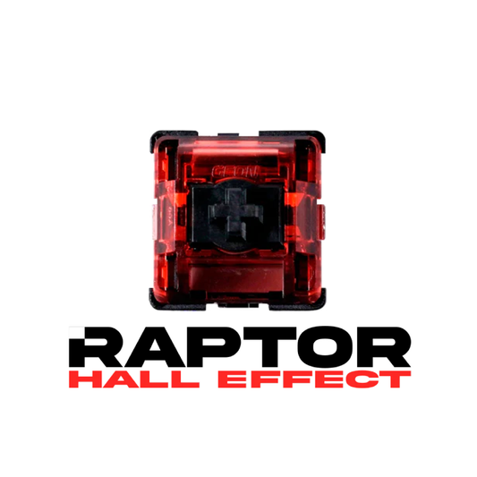 Raptor HE Gaming Switch