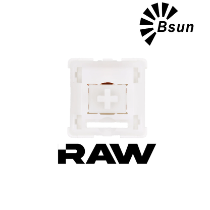 Bsun Raw Switch