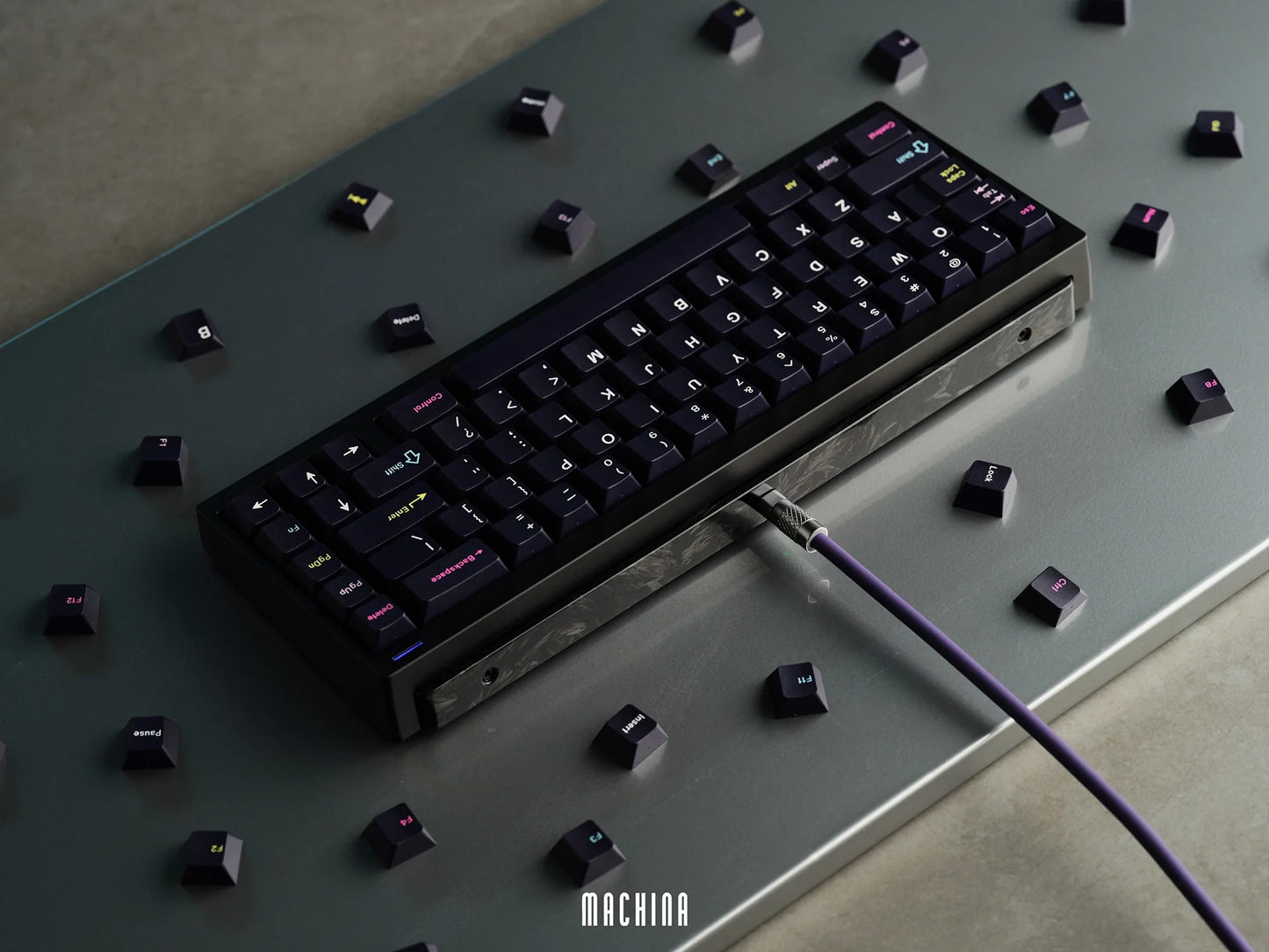 [Group-Buy] Tiga