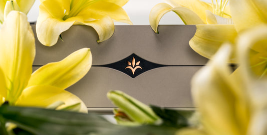 [Group Buy] Lily R2 MX Barebone Kit