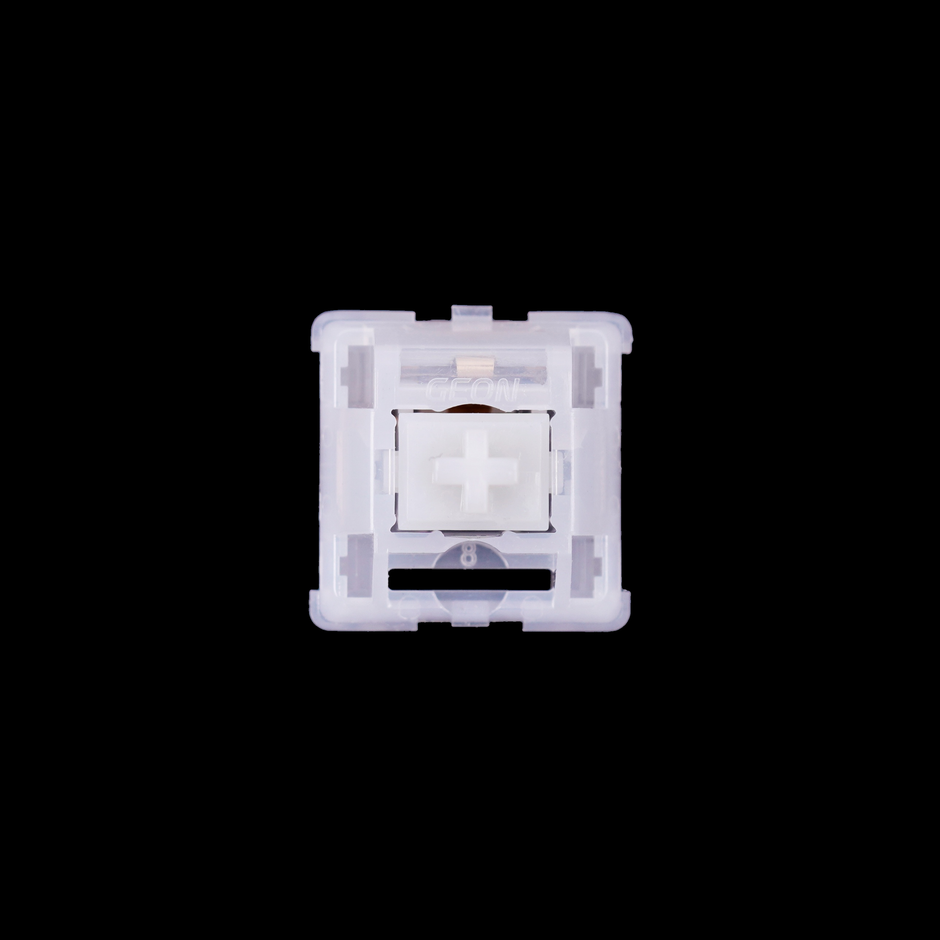 Raw switches – GEONWORKS