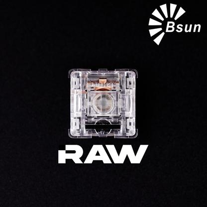 Bsun Raw Switch